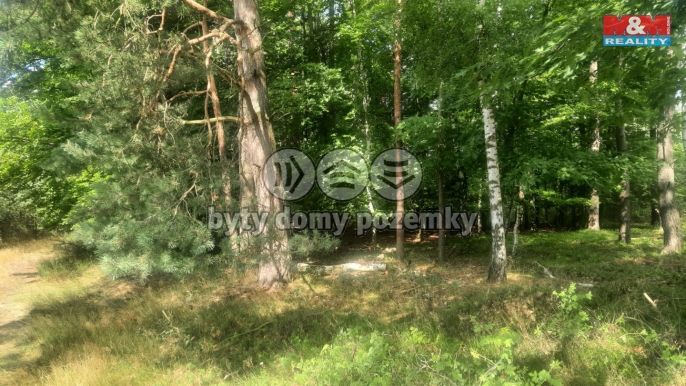 Prodej, Les, Březovice
