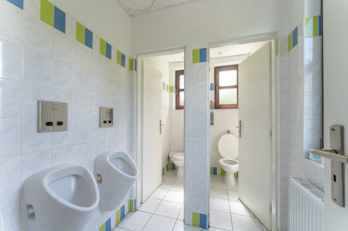 Prodej, Hotel, penzion, Horní Slavkov