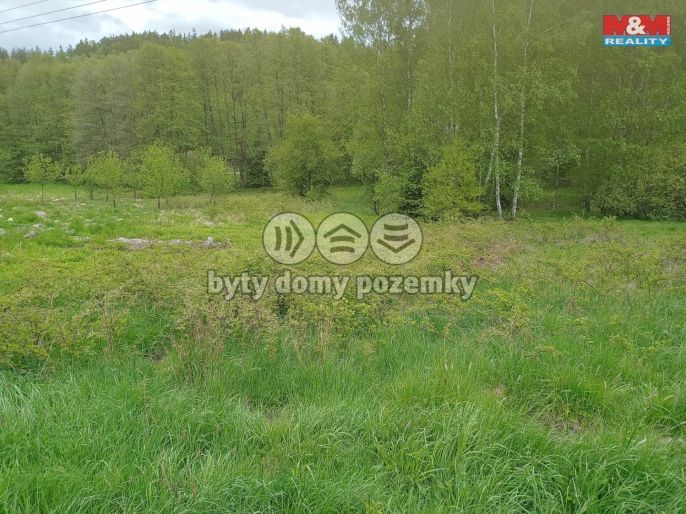 Prodej, Louka, Kořenov