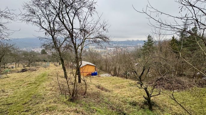 Pronájem, Zahrada, Brno