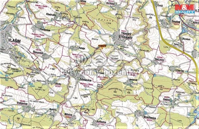 Prodej, Les, Trhový Štěpánov