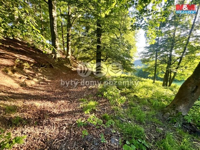 Prodej, Louka, Teplice nad Metují