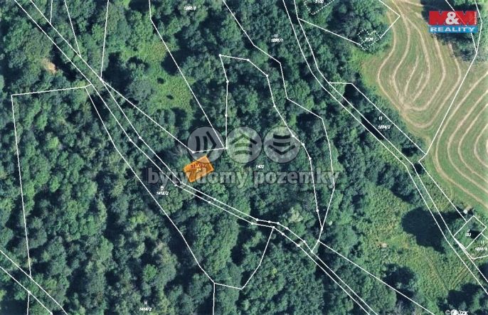 Prodej, Les, Trutnov