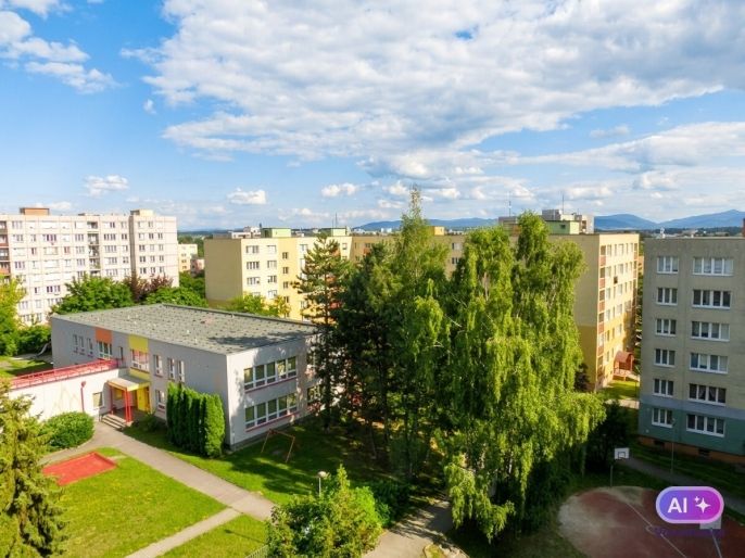 Prodej, Byt 2+1, Havířov