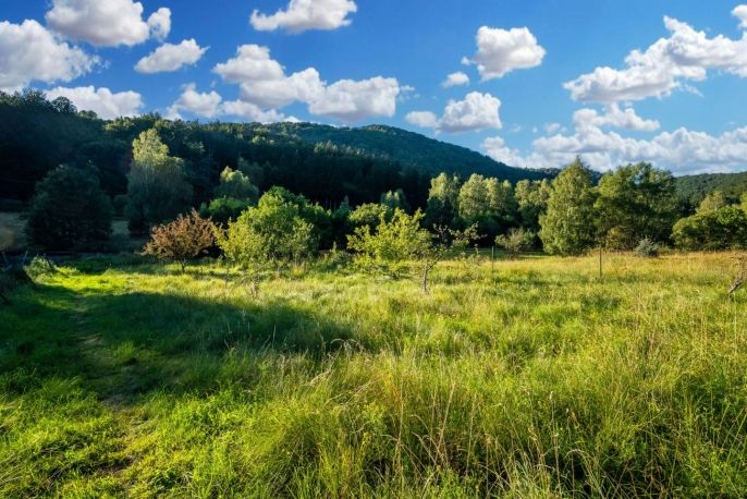 Prodej, Rodinný dům, Oldřichov v Hájích