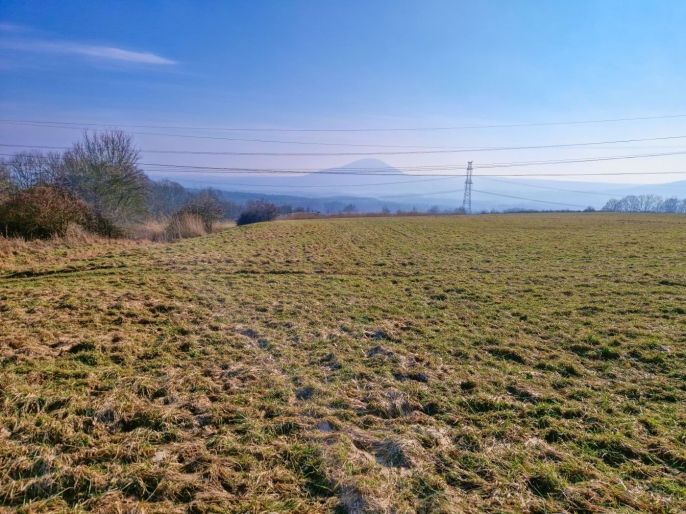 Prodej, Louka, Kozly