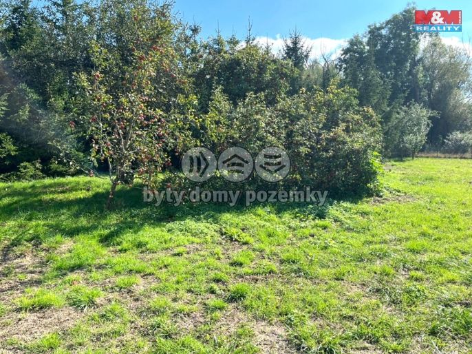 Prodej, Zahrada, Vršovice