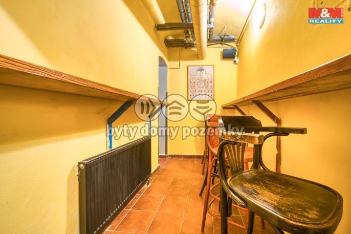 Pronájem, Obchod a služby, Plzeň