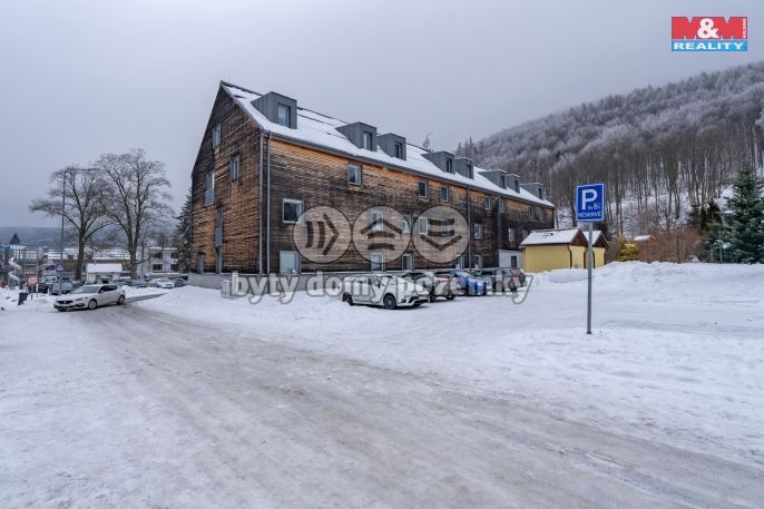 Prodej, Byt 2+kk, 36 m², Loučná nad Desnou