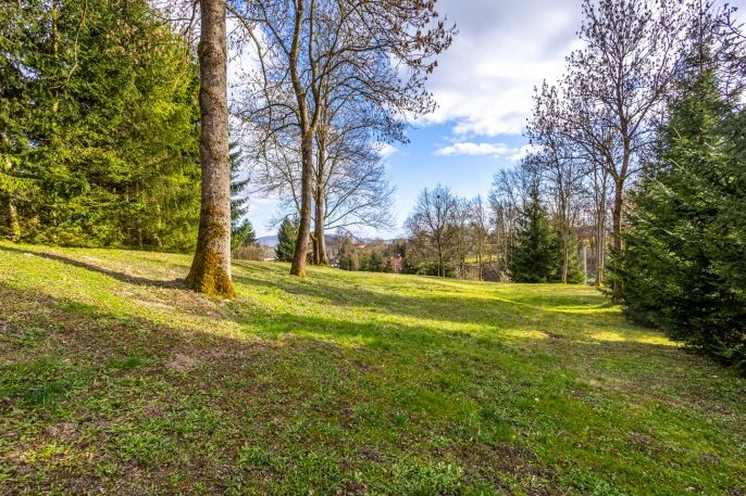 Prodej, Pozemek k bydlení, Velká Bukovina