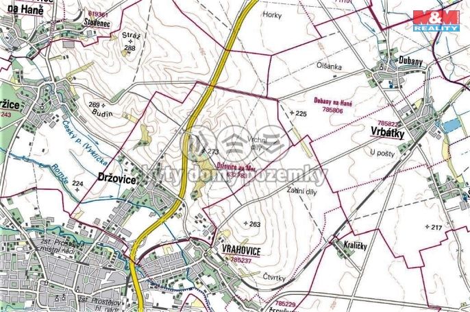 Prodej, Les, Držovice