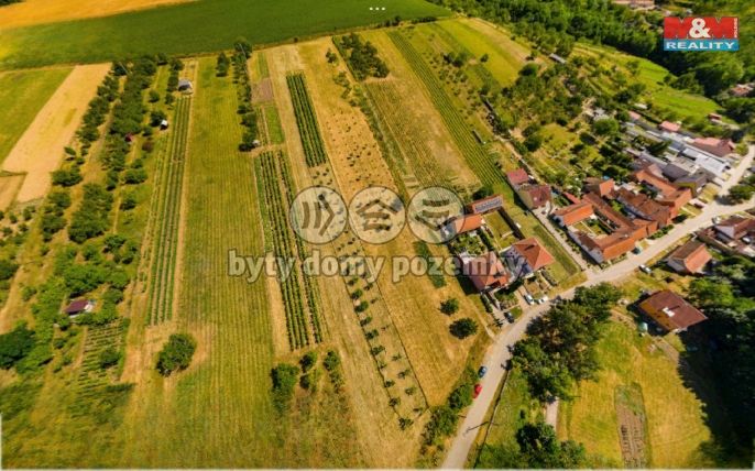 Prodej, Pozemek k bydlení, Borkovany