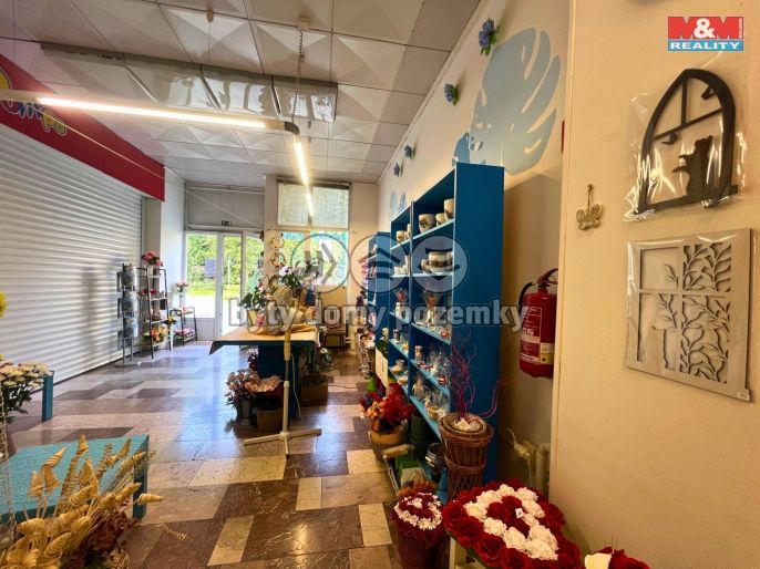 Pronájem, Obchod a služby, Bohumín