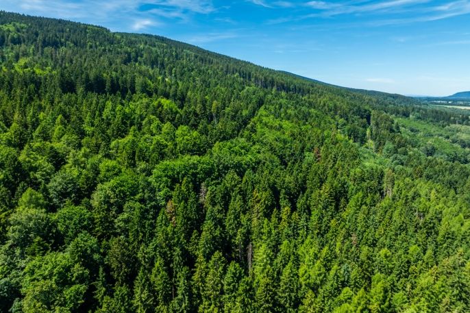 Prodej, Pozemek k bydlení, Červená Voda