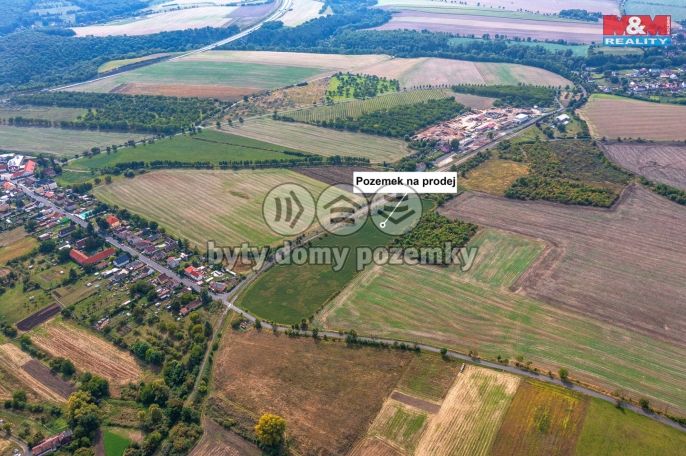 Prodej, Ovocný sad, Chotiměř