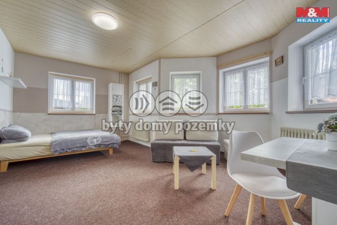 Prodej, Hotel, penzion, Železná Ruda