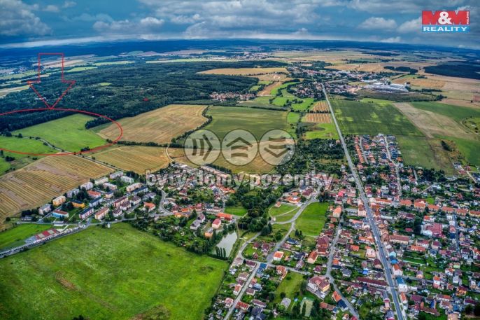 Prodej, Pole, Líně