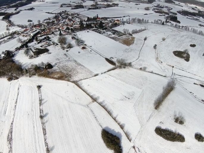 Prodej, Pastvina, Předotice