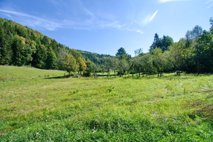 Prodej, Louka, Nový Hrozenkov