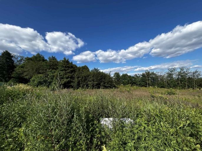 Prodej, Pozemek k bydlení, Krupka