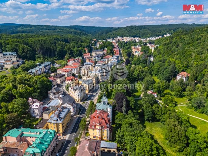 Pronájem, Obchod a služby, Mariánské Lázně
