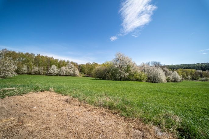 Prodej, Pozemek k bydlení, Břasy