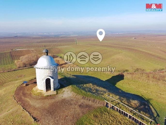 Prodej, Vinice, Velké Bílovice