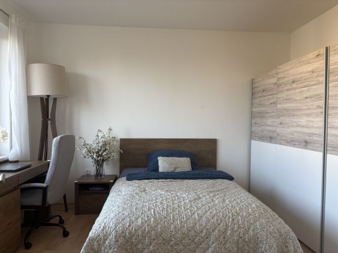 Pronájem, Byt 3+1, Opava