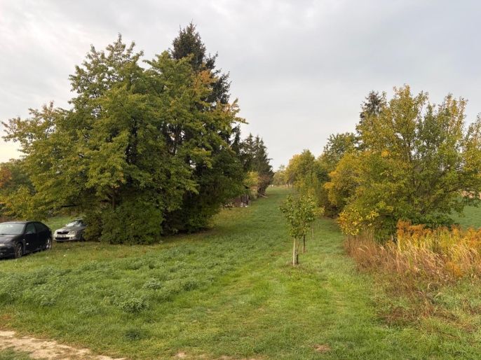 Prodej, Zahrada, Šlapanice