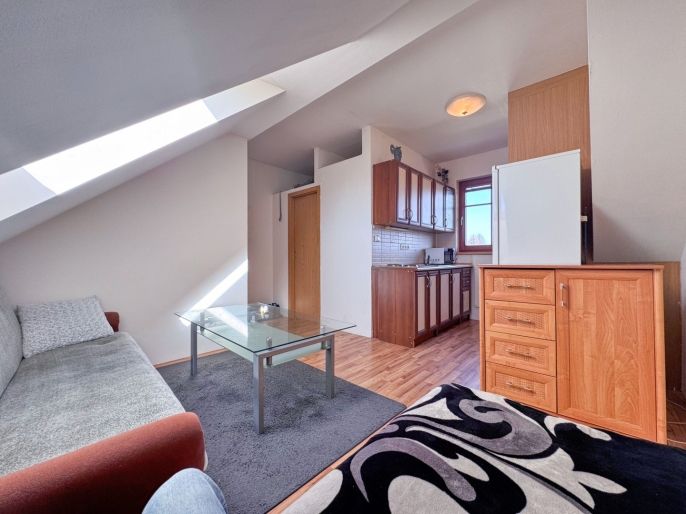 Pronájem, Byt 1+kk, Liberec