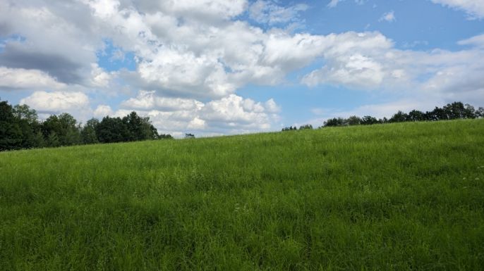 Prodej, Zahrada, Liberec