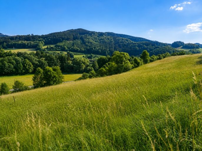 Prodej, Louka, Lužná