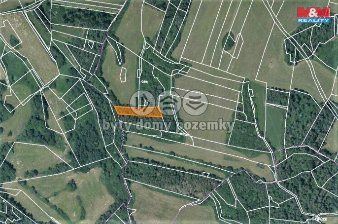 Prodej, Les, Chanovice