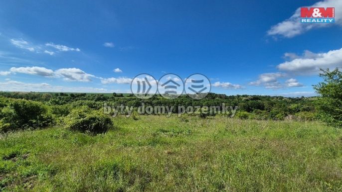 Prodej, Pozemek k bydlení, Hrušovany