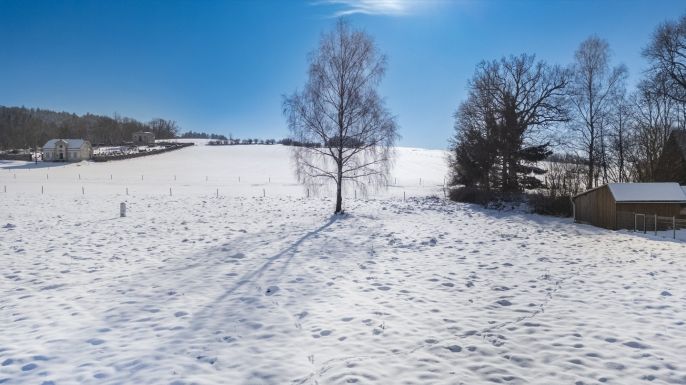 Prodej, Pozemek k bydlení, Horní Podluží