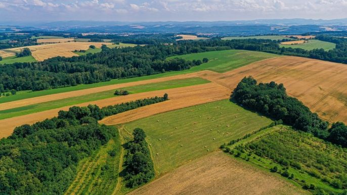 Prodej, Komerční pozemky, Polom