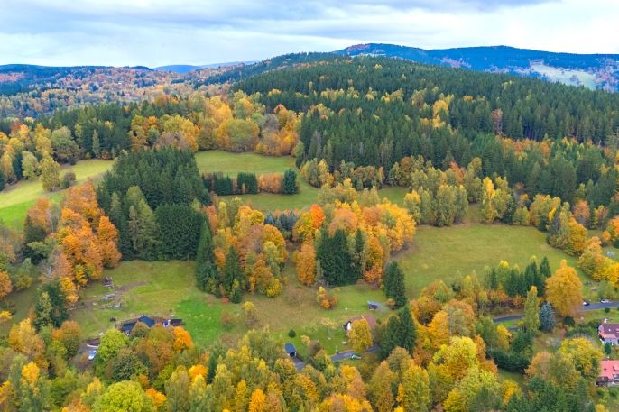 Prodej, Louka, Tanvald