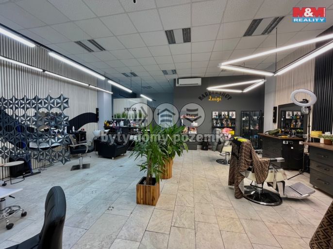 Pronájem, Obchod a služby, Most