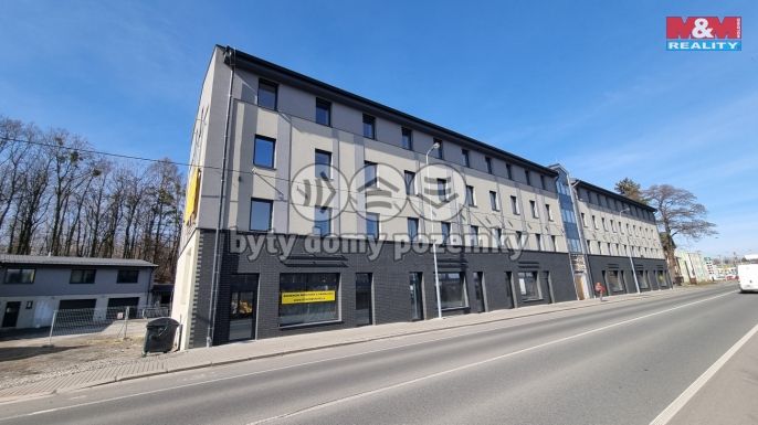 Pronájem, Byt 3+kk, Český Těšín