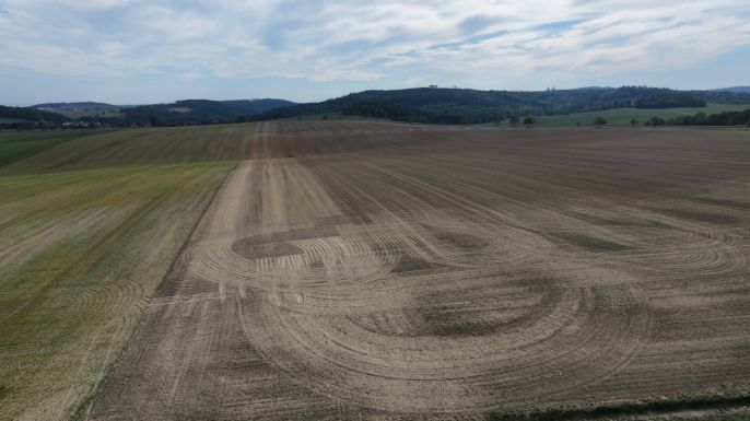 Prodej, Pole, Prostějovičky