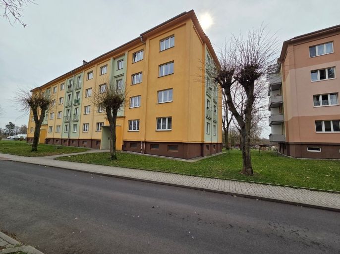 Pronájem, Byt 2+1, Nová Role