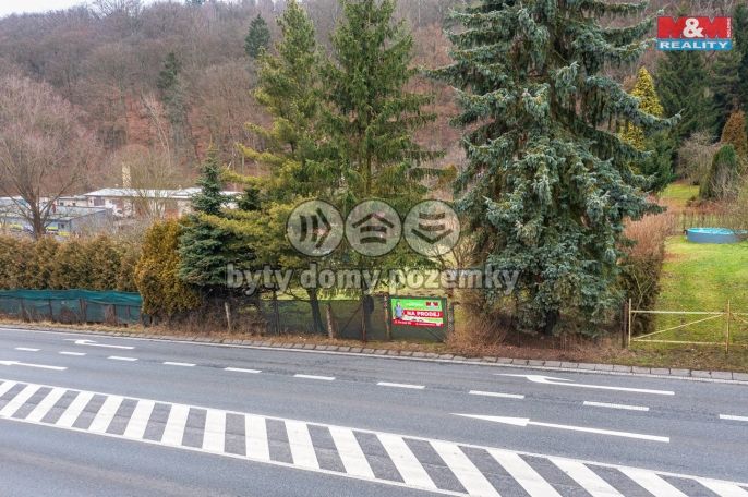 Prodej, Zahrada, Děčín