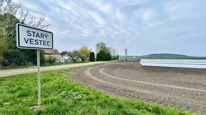 Prodej, Pole, Starý Vestec