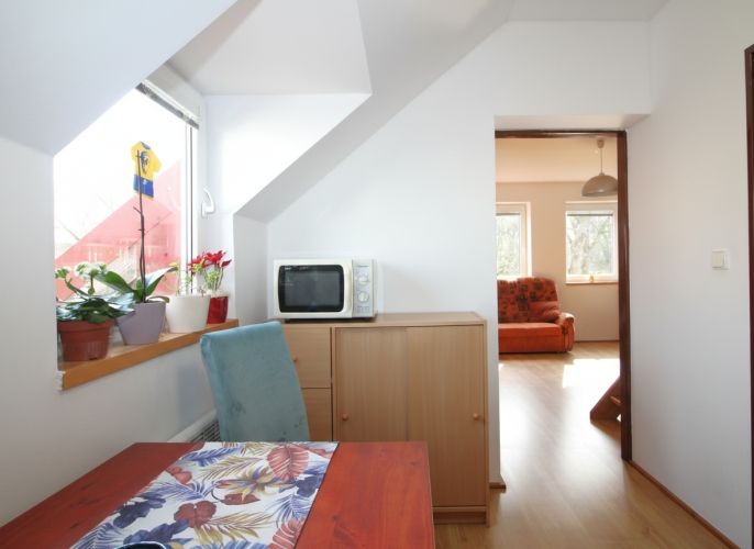 Pronájem, Byt 2+1, Nový Bor