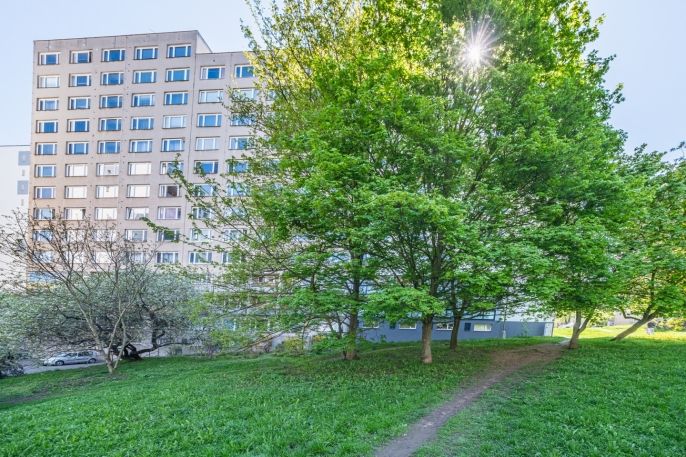 Pronájem, Byt 1+kk, Příbram