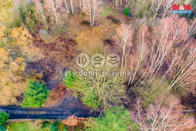 Prodej, Louka, Arnoltice