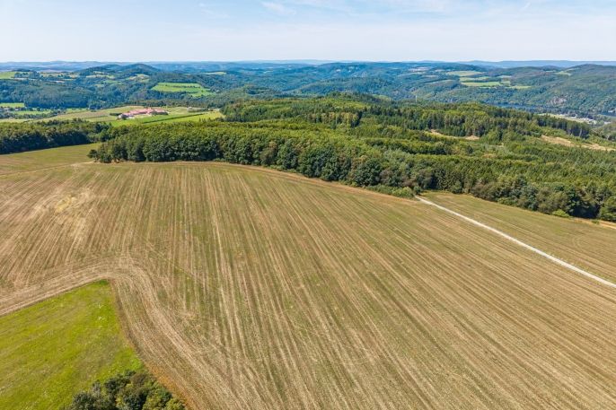 Prodej, Pole, Křečovice