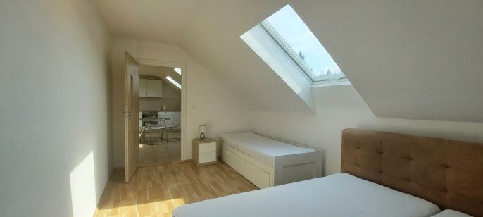 Pronájem, Byt 3+kk, Mirotice