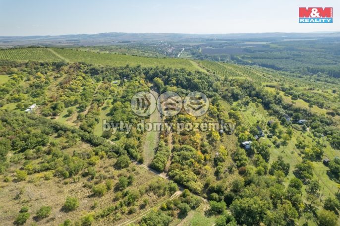 Prodej, Zahrada, Židlochovice