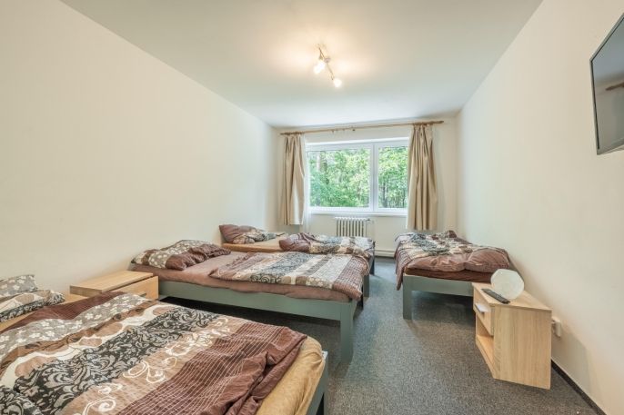 Prodej, Hotel, penzion, Tuchlovice
